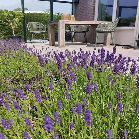 Spacious Surrounded Large Garden Holiday home Sint Maartensvlotbrug