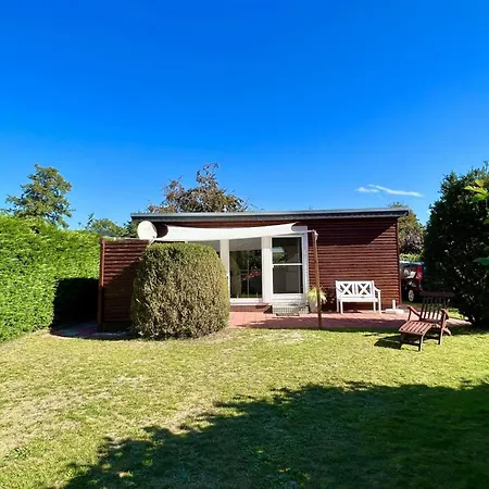 Spacious Surrounded Large Garden