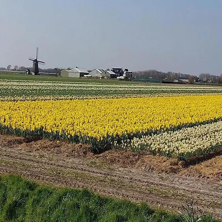 Spacious Surrounded Large Garden * Sint Maartensvlotbrug