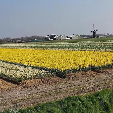 Σπίτι διακοπών Spacious Surrounded Large Garden *