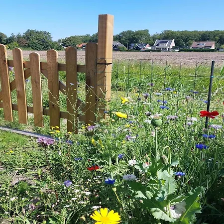 Spacious Surrounded Large Garden Σπίτι διακοπών Sint Maartensvlotbrug