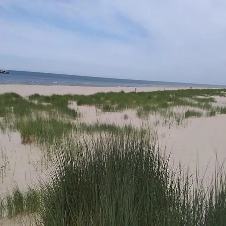 Spacious Surrounded Large Garden *