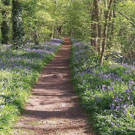 Spacious Surrounded Large Garden Holiday home *