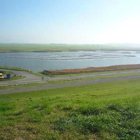 Spacious Surrounded Large Garden