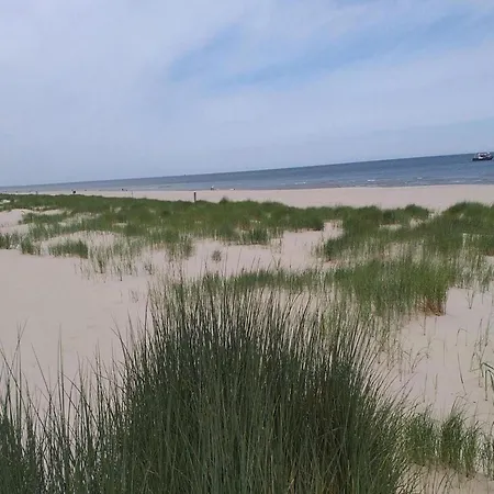 Spacious Surrounded Large Garden Дом отдыха *