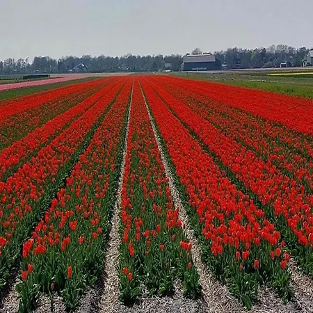 Дом отдыха Spacious Surrounded Large Garden *