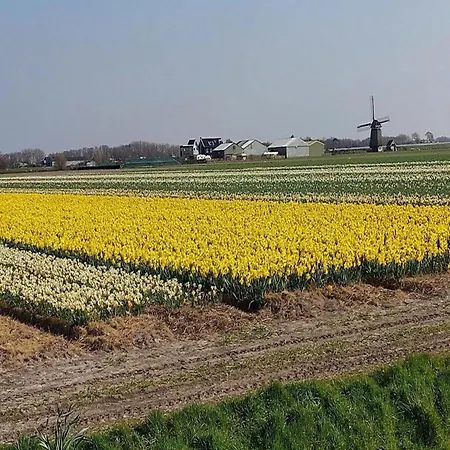 Дом отдыха Spacious Surrounded Large Garden