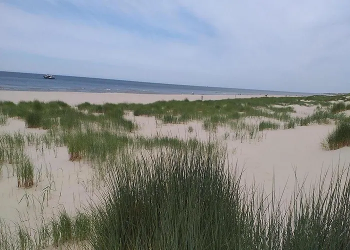 Spacious Surrounded Large Garden *