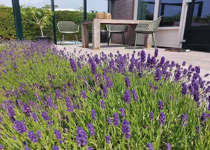 Spacious Surrounded Large Garden * Sint Maartensvlotbrug