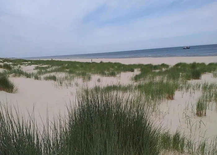 Spacious Surrounded Large Garden Feriehus *