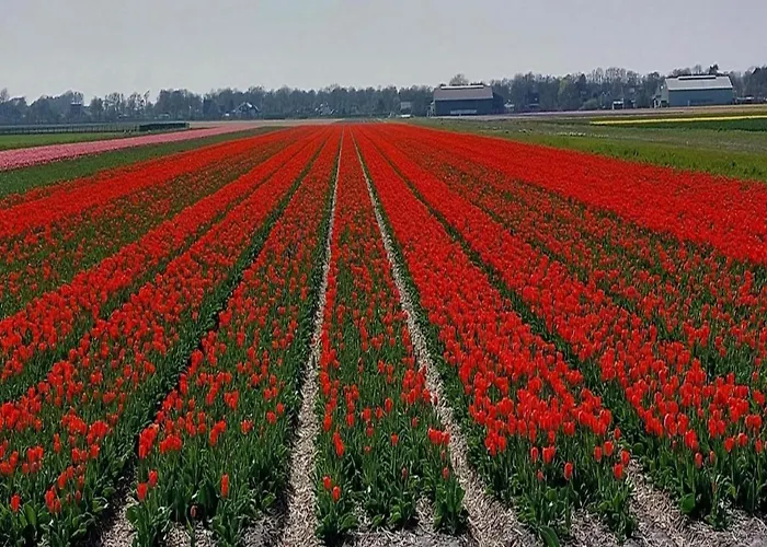 Feriehus Spacious Surrounded Large Garden *
