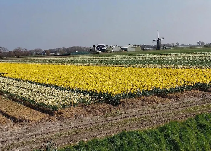 Feriehus Spacious Surrounded Large Garden