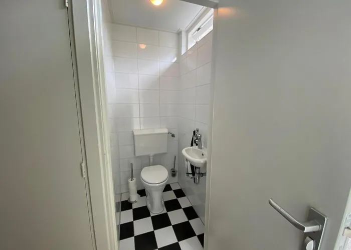 Spacious Surrounded Large Garden