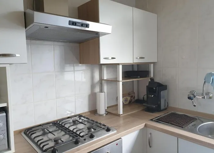 Spacious Surrounded Large Garden *