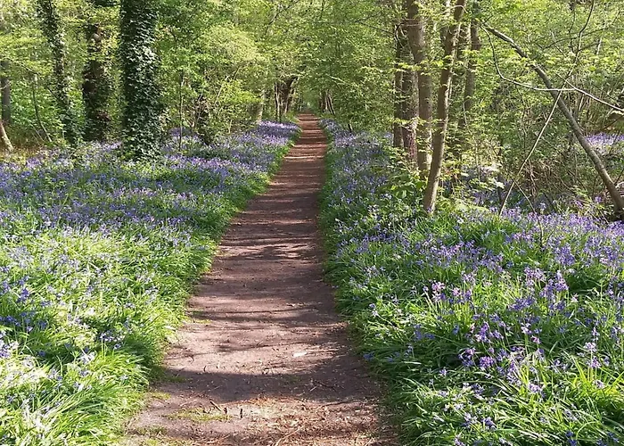Spacious Surrounded Large Garden Dom wakacyjny *